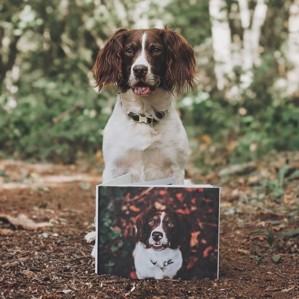 Pet photo books capture their best days, and create a memory book you can treasure.