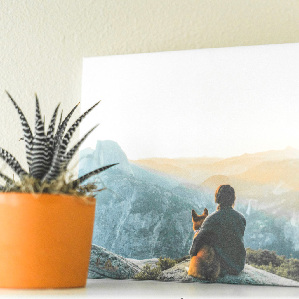 Create wall art memories of you and your pets