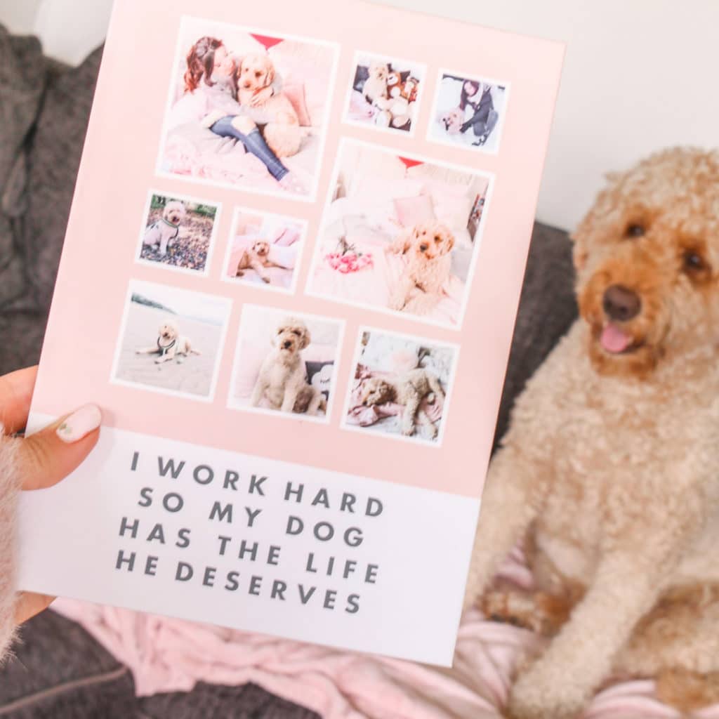 Create collage print layouts of your favourite pet images
