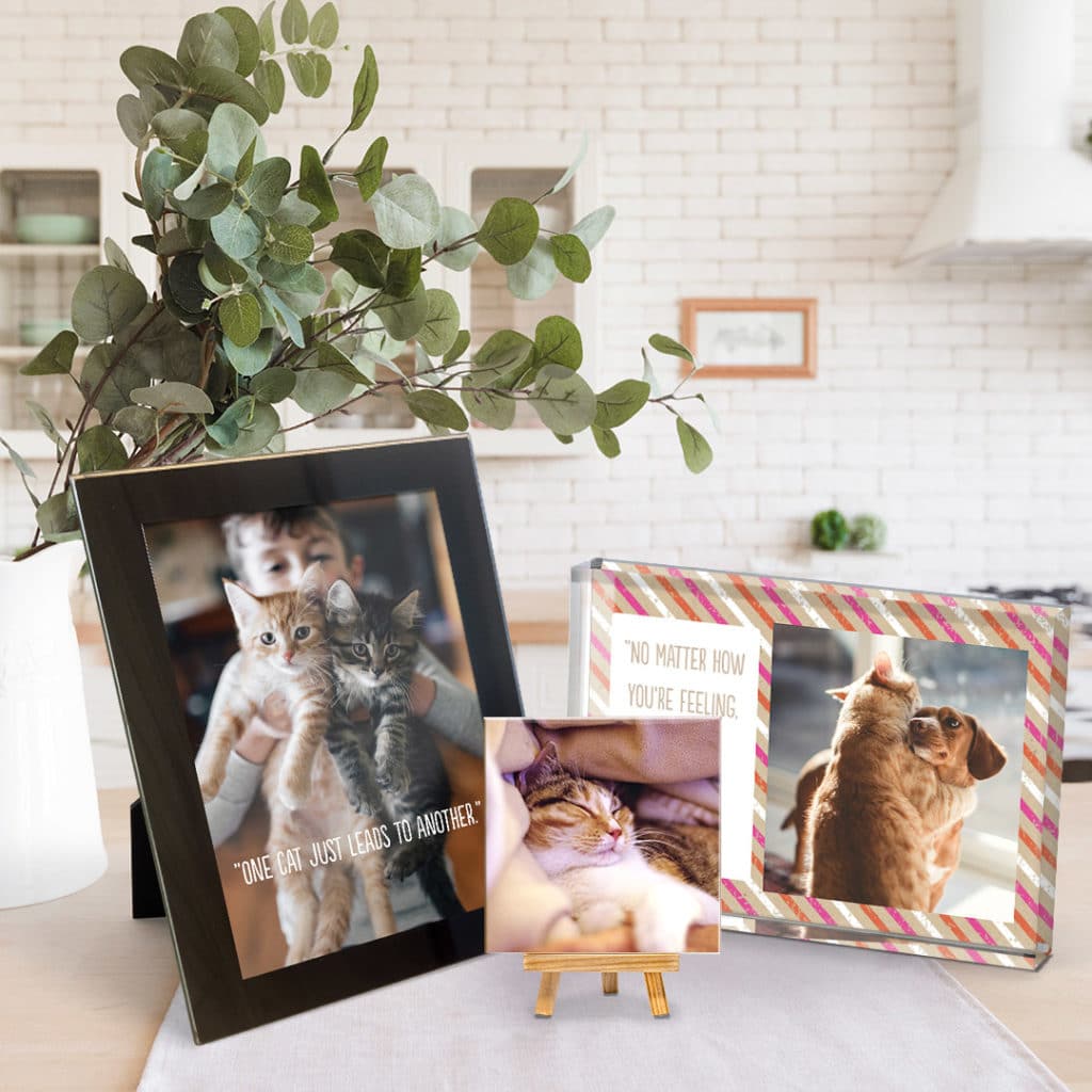 Add sentimental pet quotes to photo gifts to make them unique to you