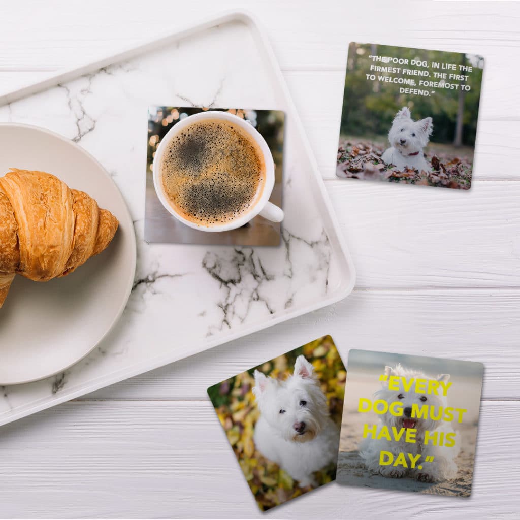 Cute custom coasters of your pet brighten up your coffee table