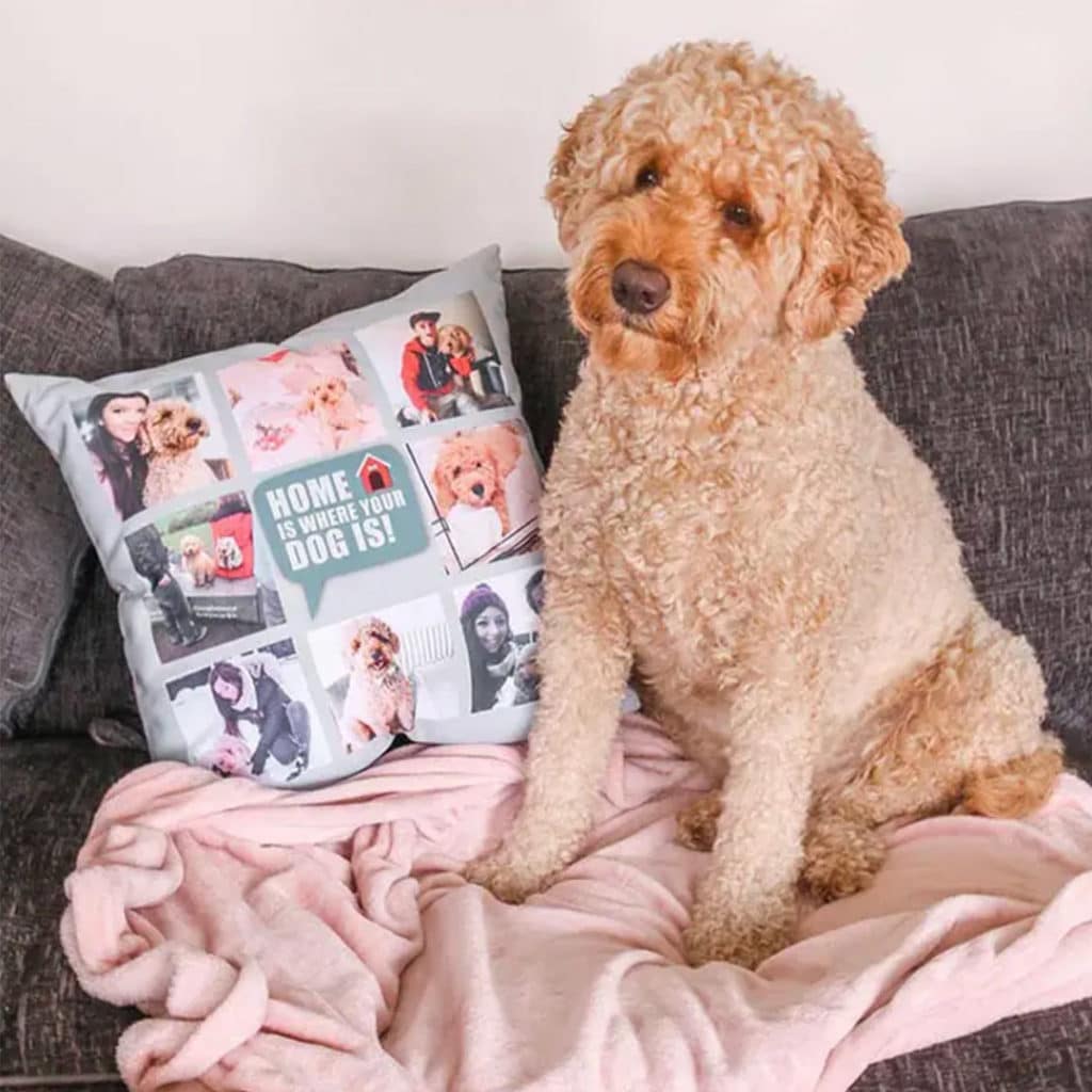 Home is where your dog is! Create custom pillows with pictures of your pet to make it homelier!