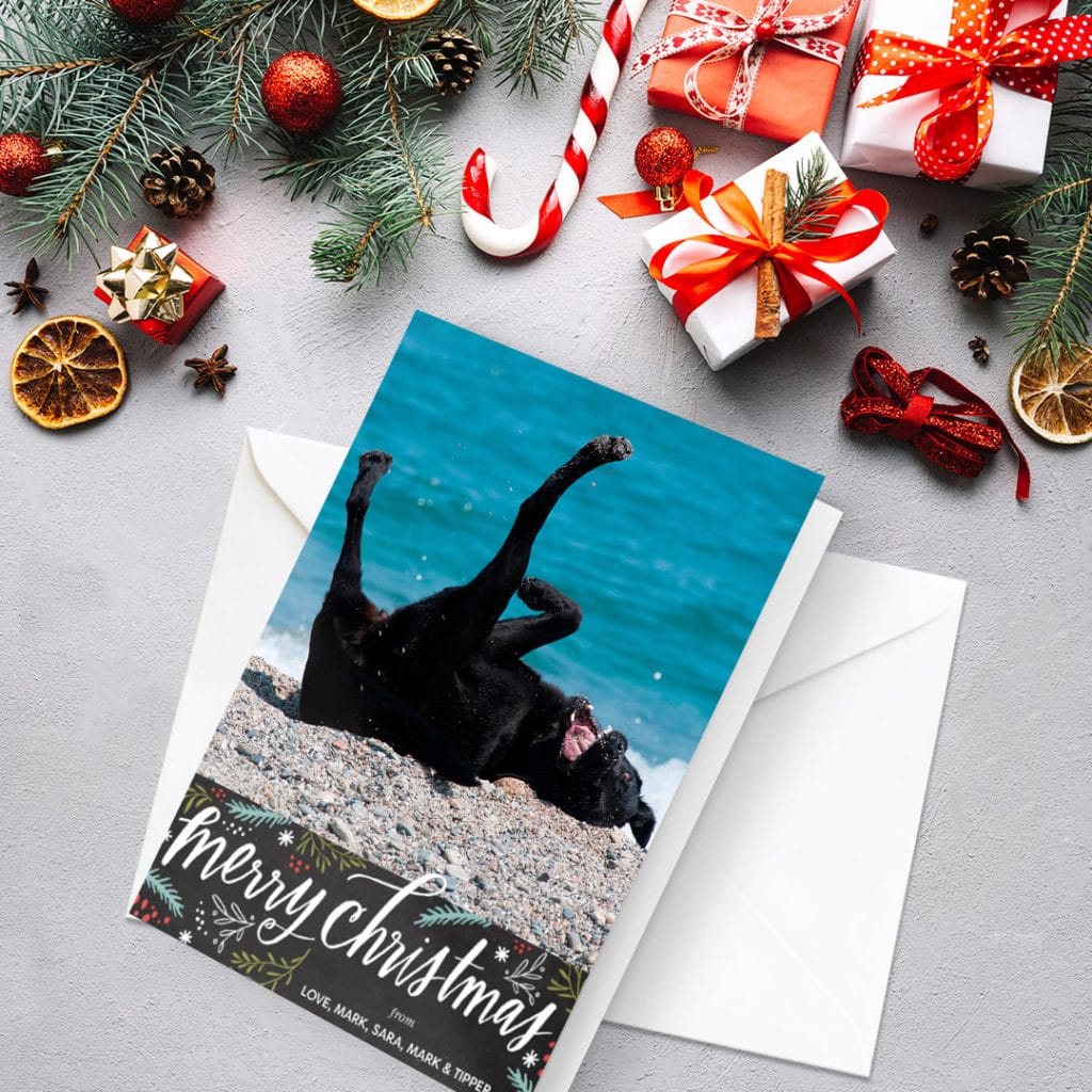 greeting card featuring dog on beach, surrounded by christmas decoration