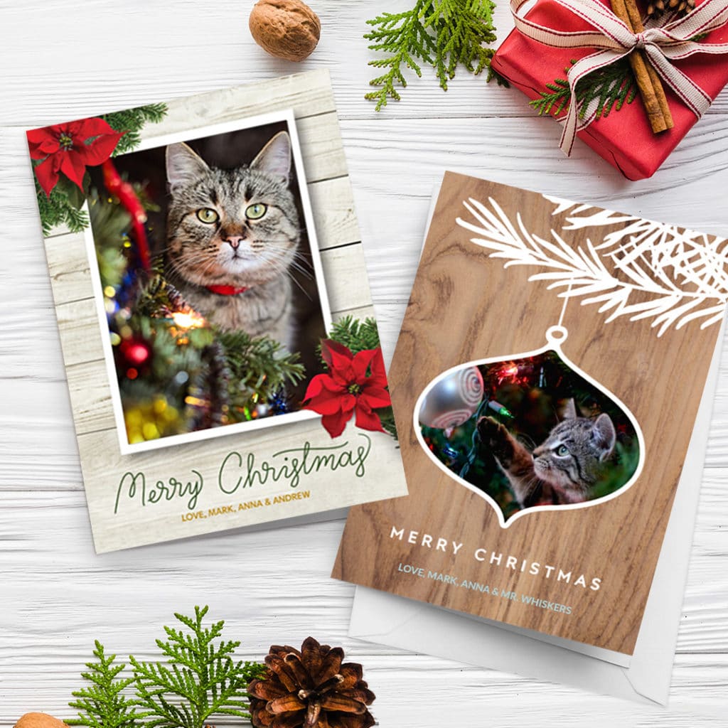 greeting card featuring cat in tree, surrounded by christmas decoration