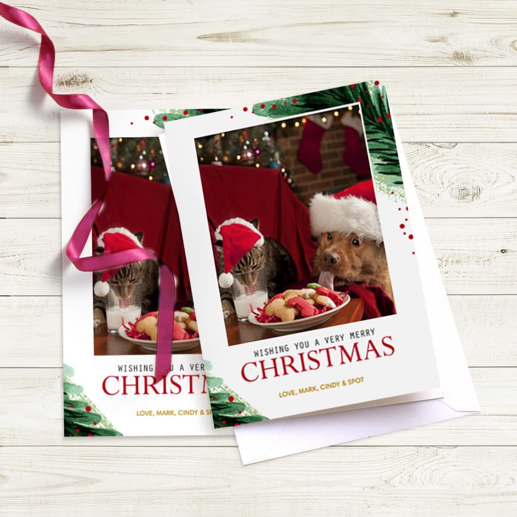 greeting cards featuring cat and dog in santa hats, one ribbon strewn across cards