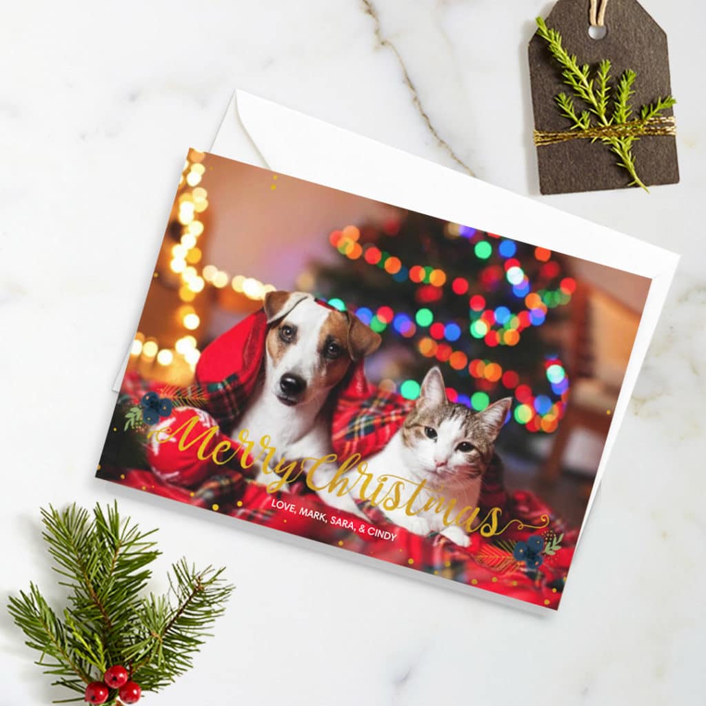 greeting card featuring cat and dog with blurry Christmas tree background, surrounded by christmas decoration