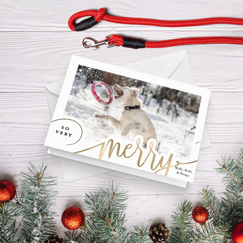 greeting card featuring dog playing catch in the snow, surrounded by christmas decoration and red leash