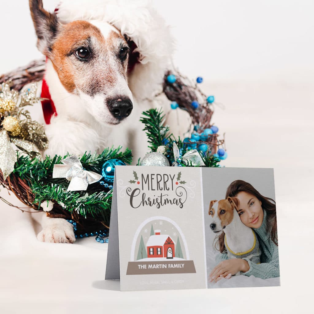 dog with wreath behind a propped up christmas card featuring same dog with sweater with woman