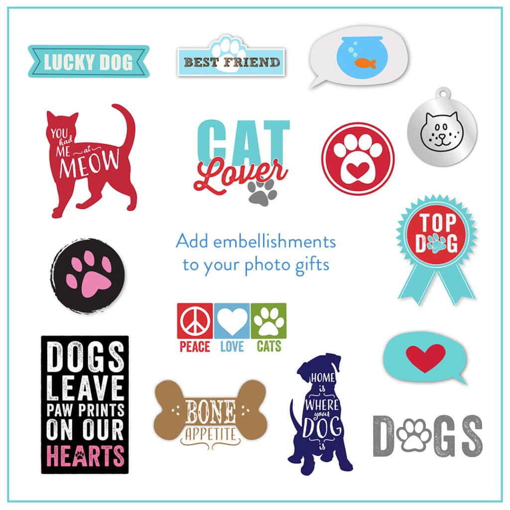 pet embellishments