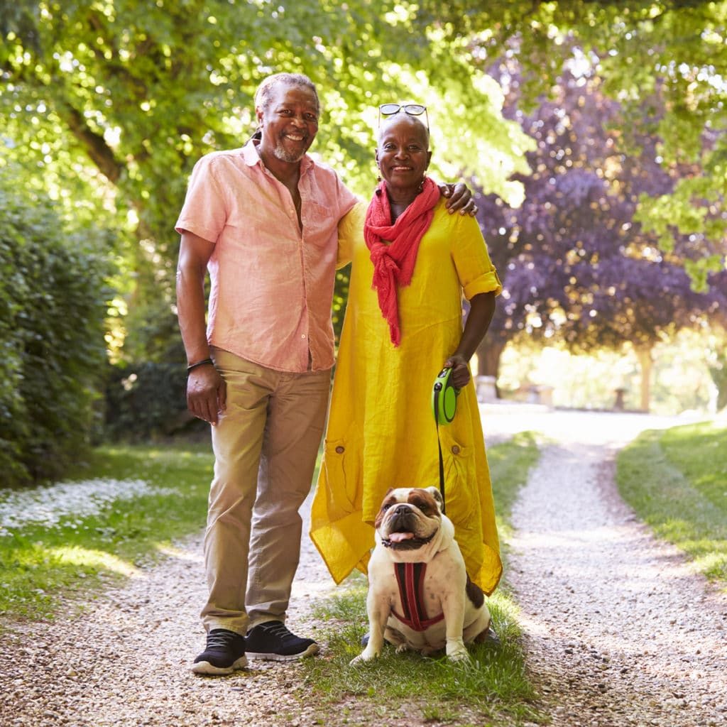 Take photos of people walking their dogs