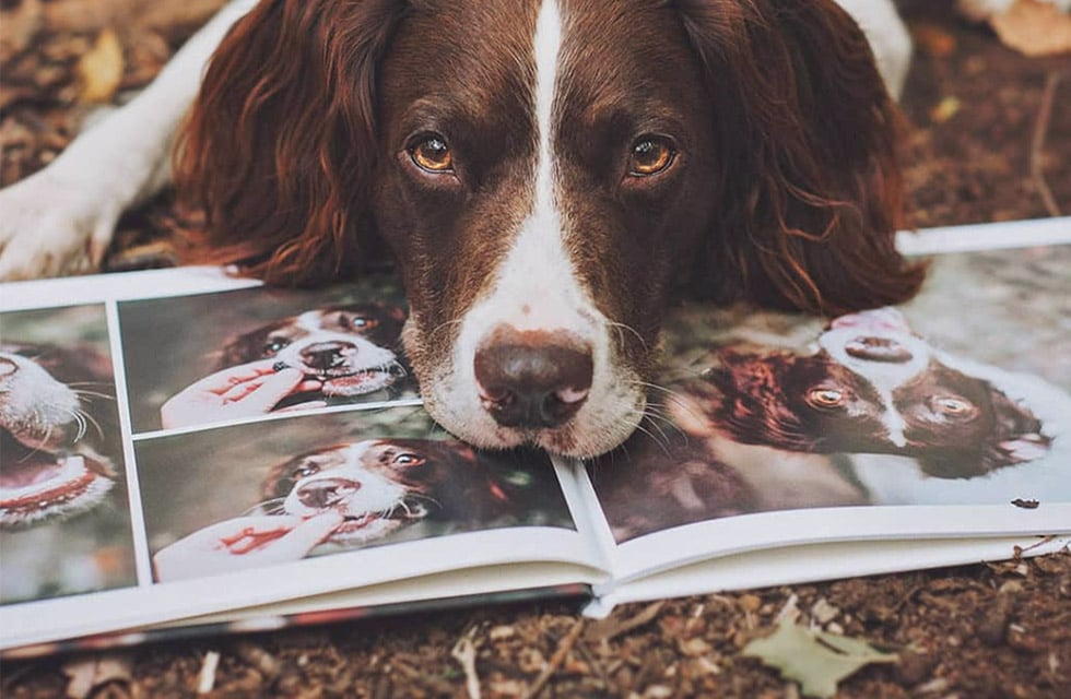 Personalized dog photo album best sale