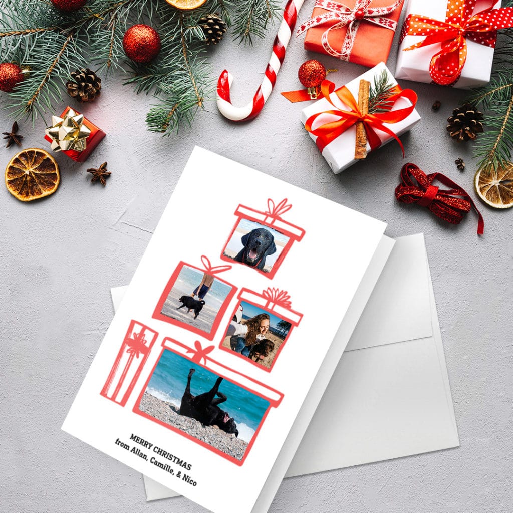 greeting card featuring dog on beach, surrounded by christmas decoration