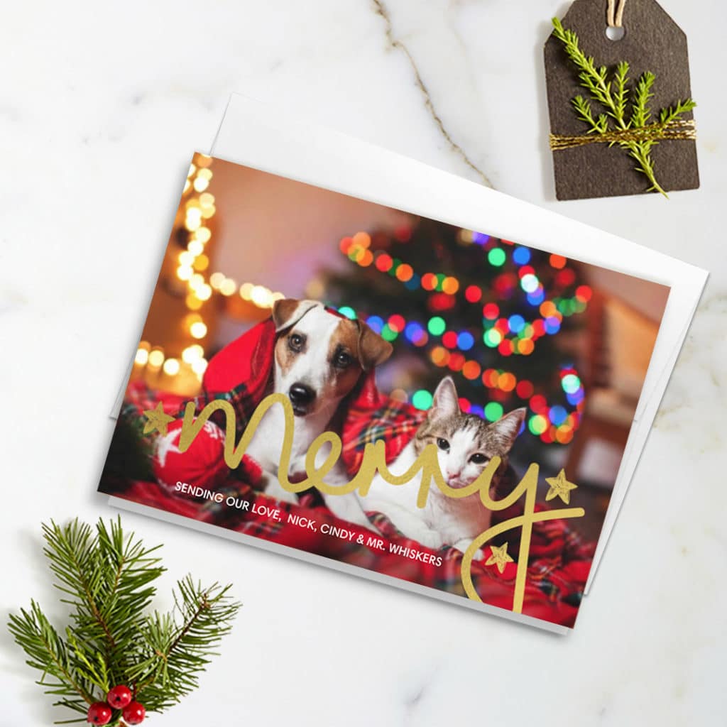 greeting card featuring cat and dog with blurry Christmas tree background, surrounded by christmas decoration