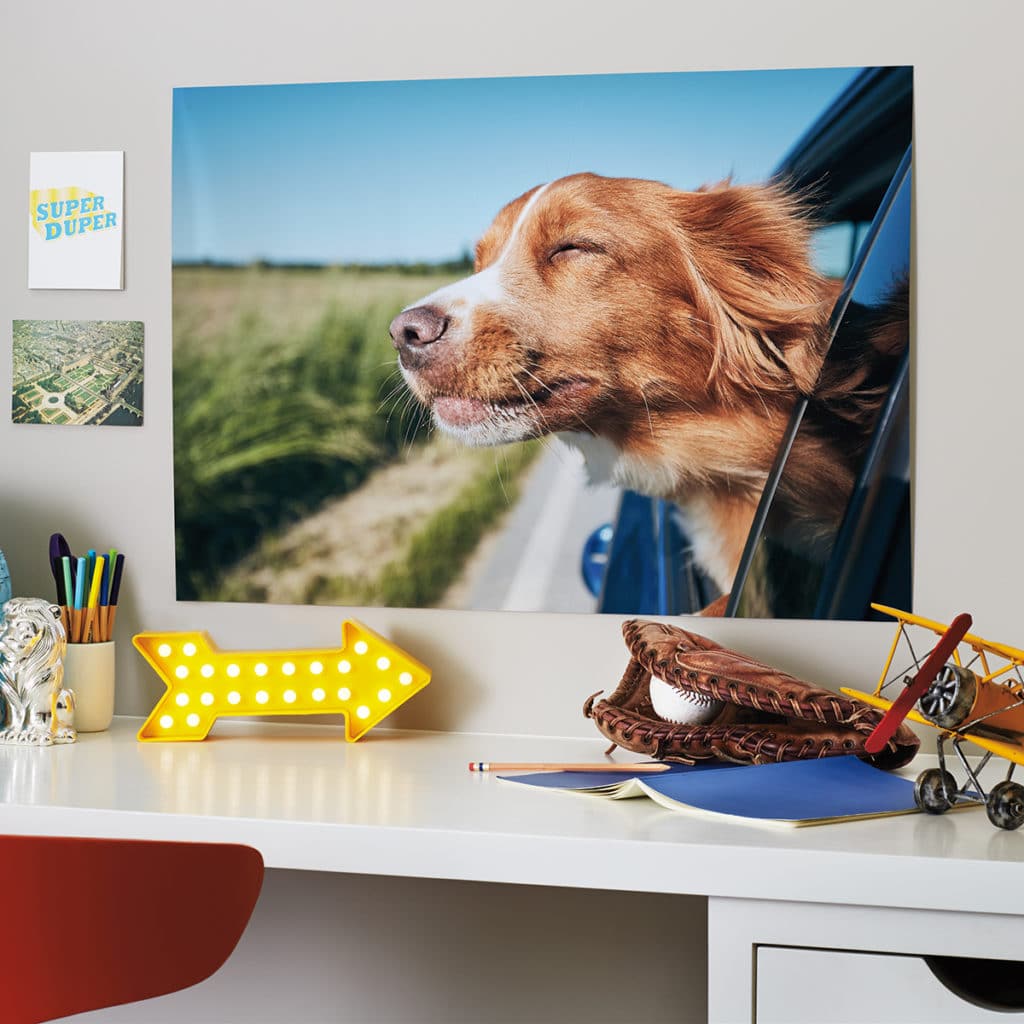 Create custom photo canvas prints in minutes