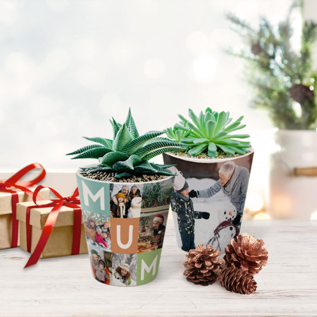Plant those seeds of love and watch them grow. Photo plant pots you can create in minutes
