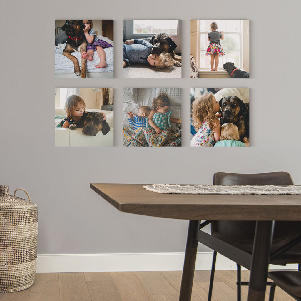 Series of photo tiles on a gallery wall