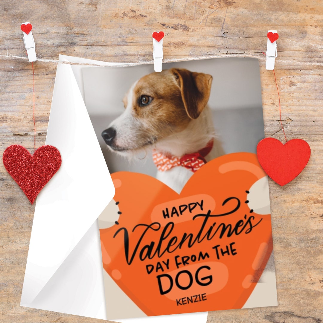 Create Valentines Day cards from the pet