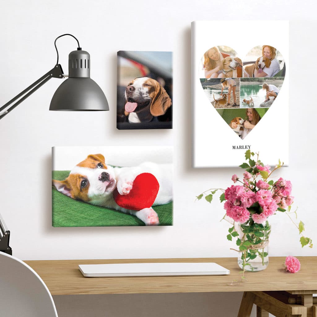 Canvas prints of woman and dog on a wall