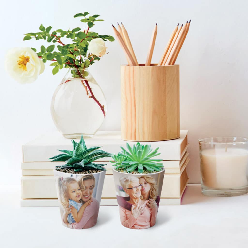 potted plants on desk
