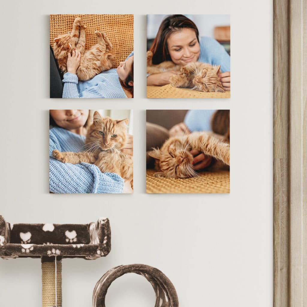 4 photo tiles displayed on a wall
