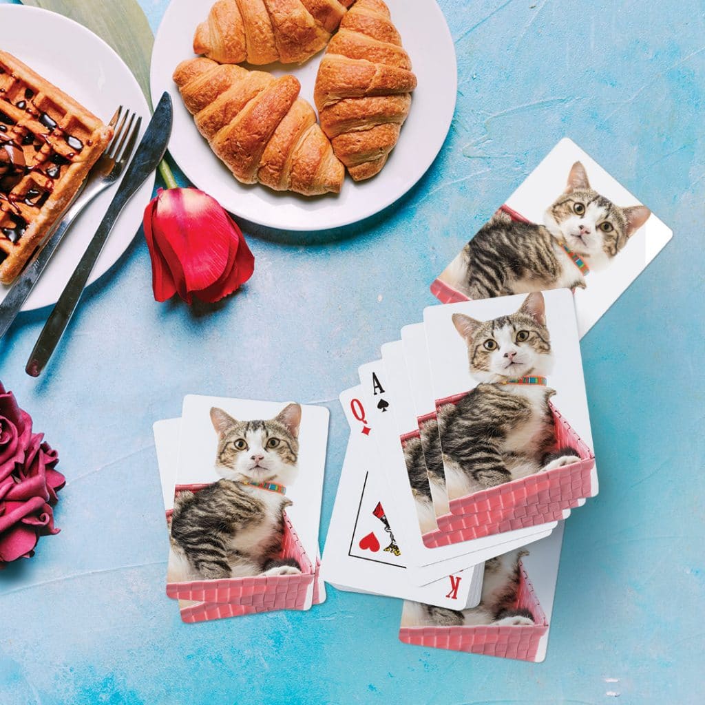 playing cards on breakfast table