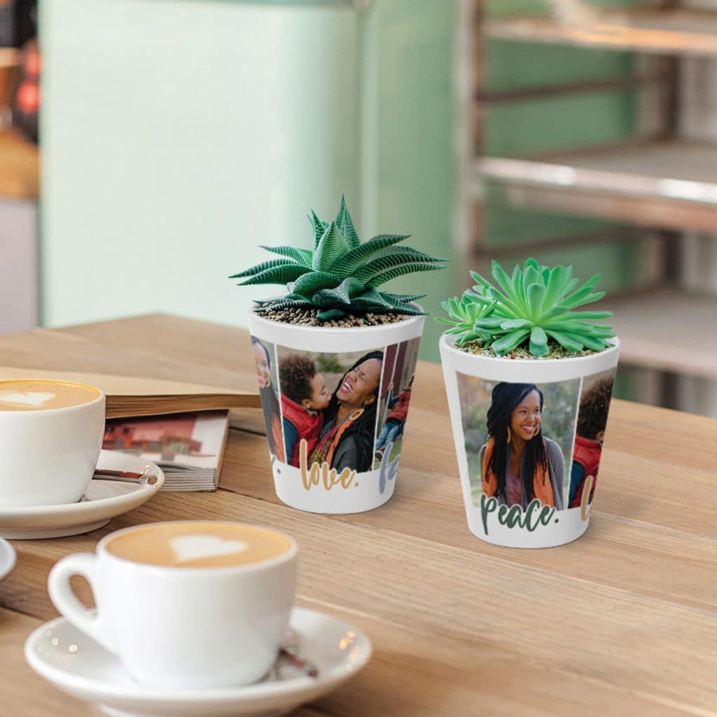 plant pots on coffee table