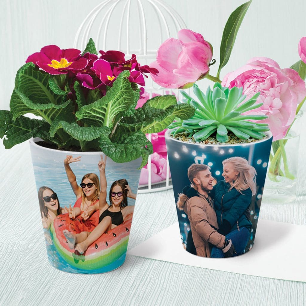 two plant pots on a desk with flowers