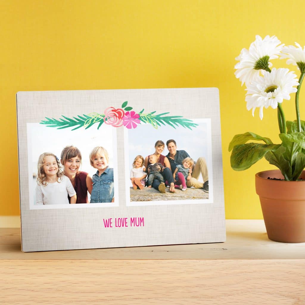 wooden panel next to daisies