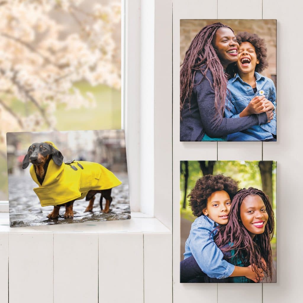 canvas prints and metal prints update your home decor easily