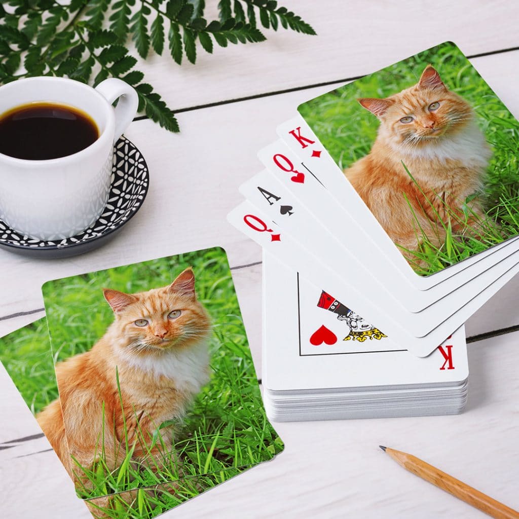 Personalised photo playing cards showing cat