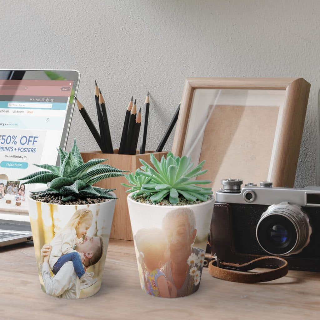 two plant pots with succulents on desk featuring Father's Day photos